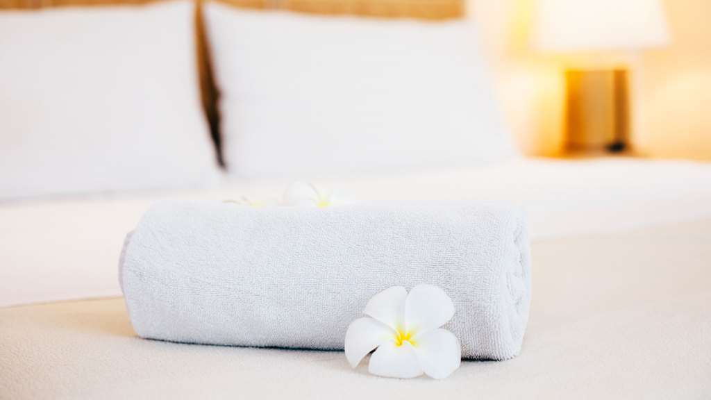 Mountain Inn & Suites Flat Rock Phòng bức ảnh